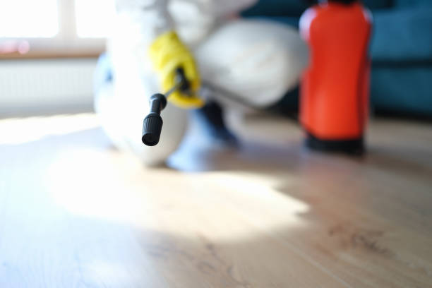 Best Water Damage & Mold Remediation  in Russell, KY