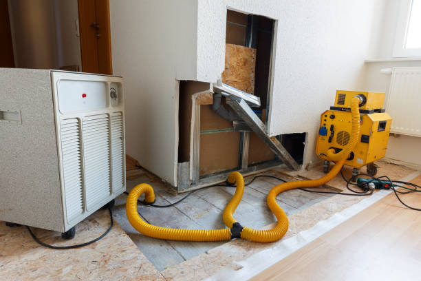  Russell, KY Mold Removal Pros