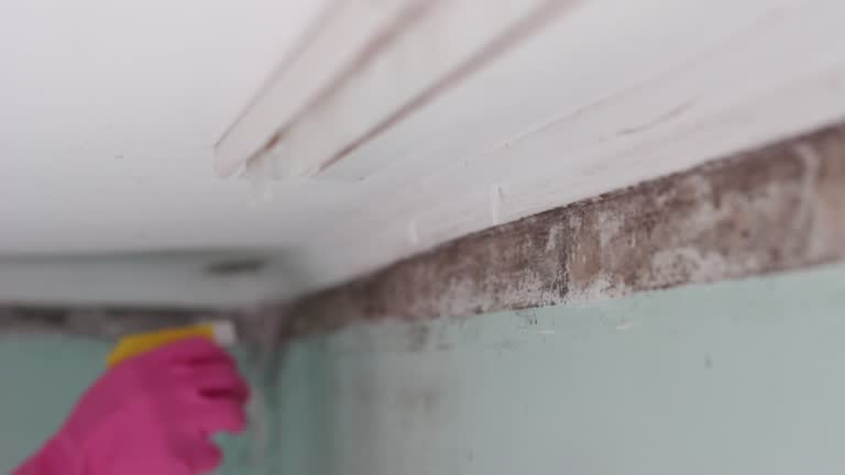 Best Indoor Air Quality Assessment  in Russell, KY